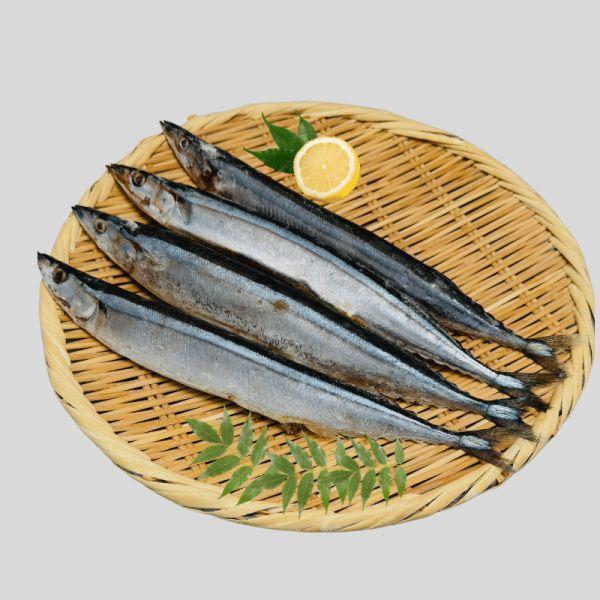 溪和水產_秋刀魚