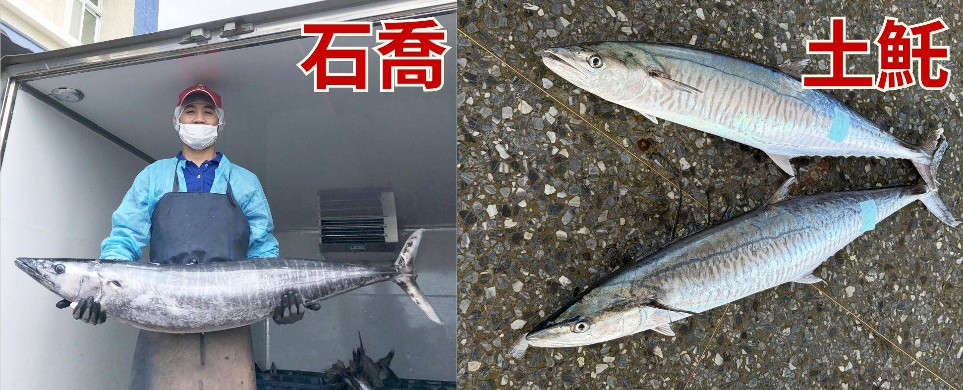 溪和水產_土魠VS石喬