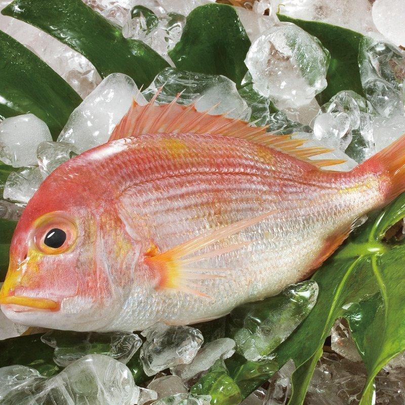溪和水產_赤鯮