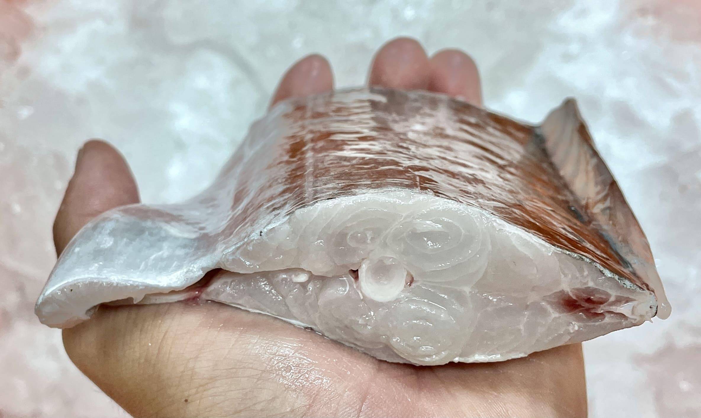 溪和水產_白帶魚