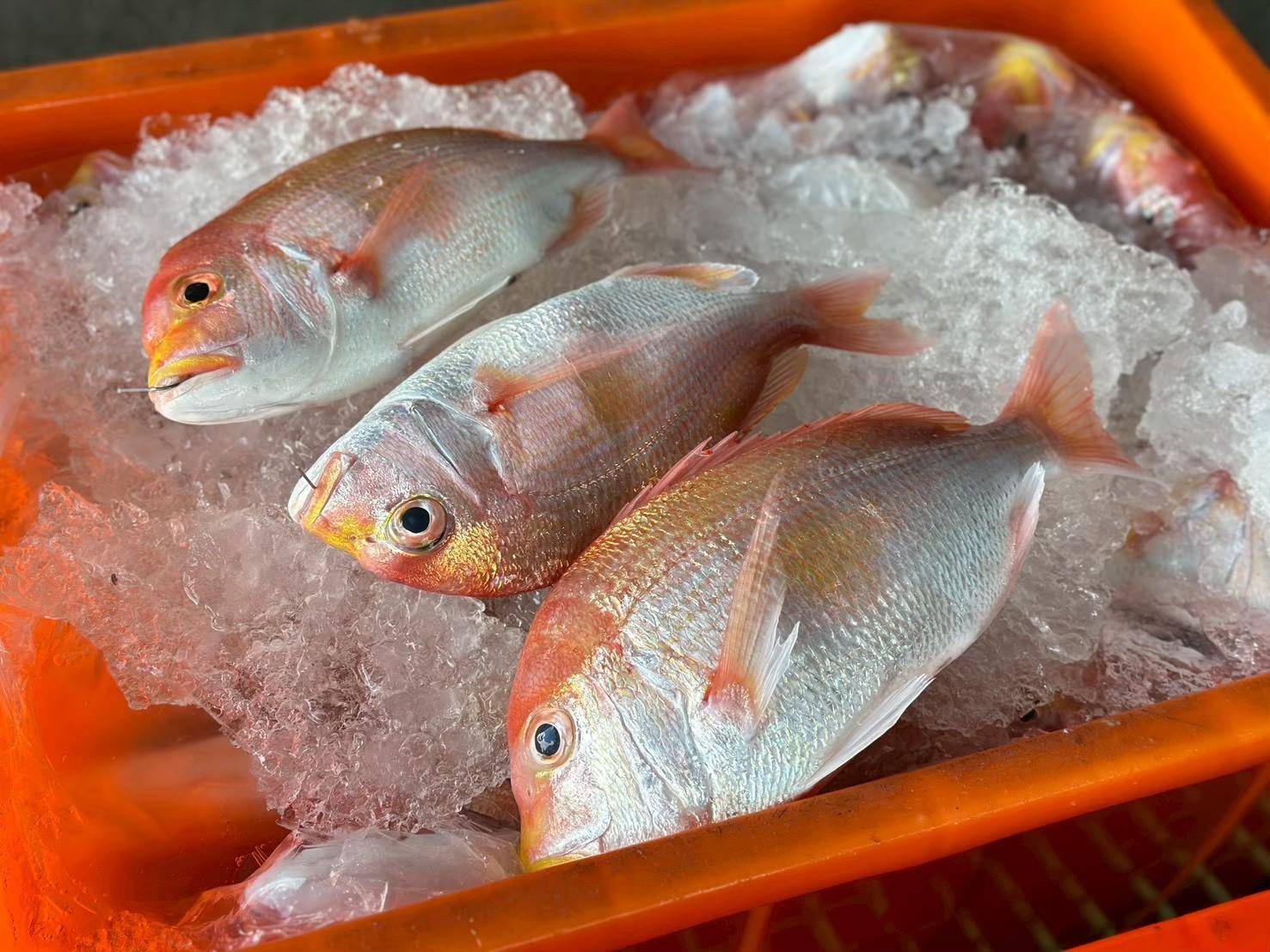 溪和水產_一支釣