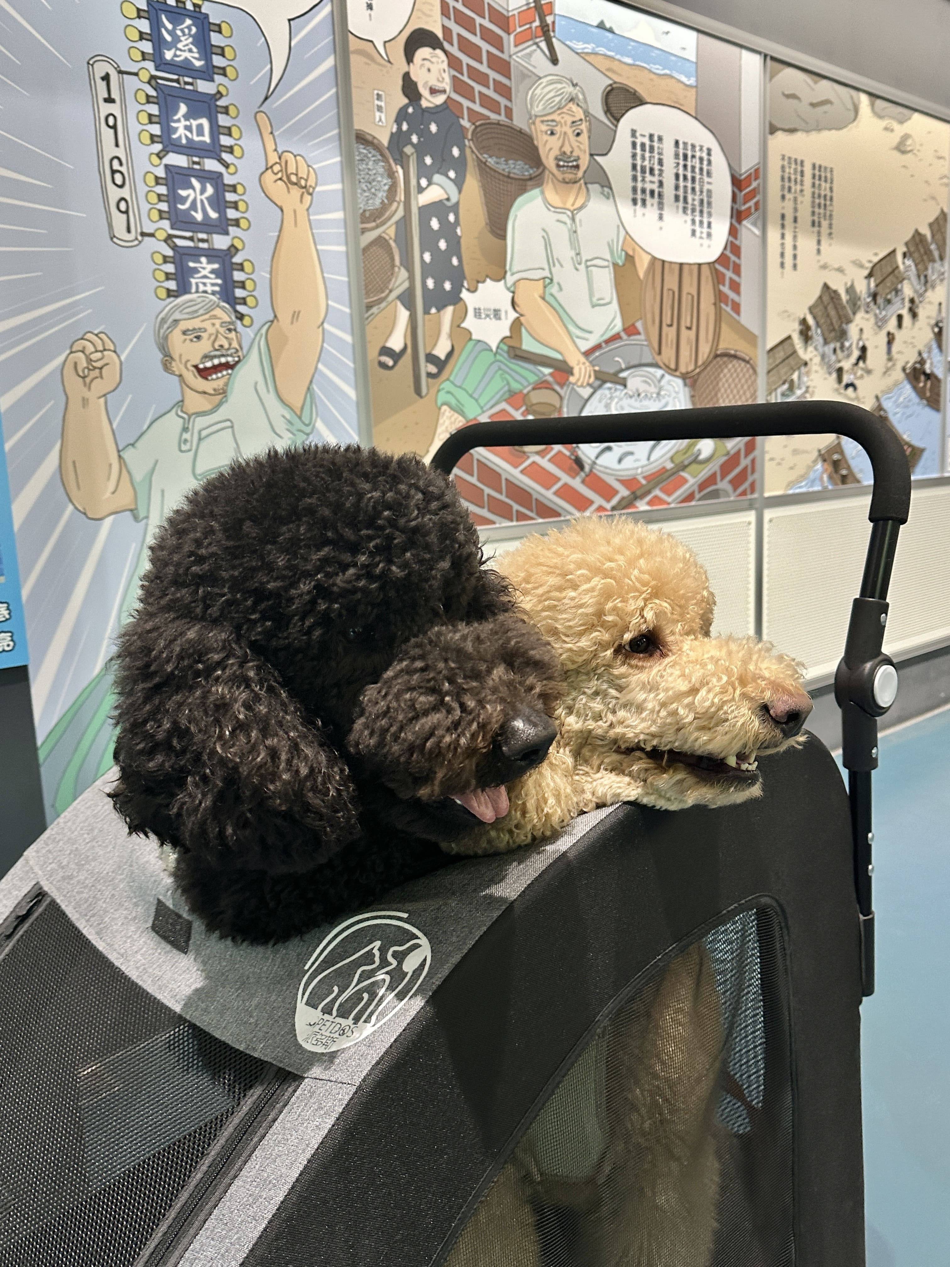 溪和水產_寵物友善