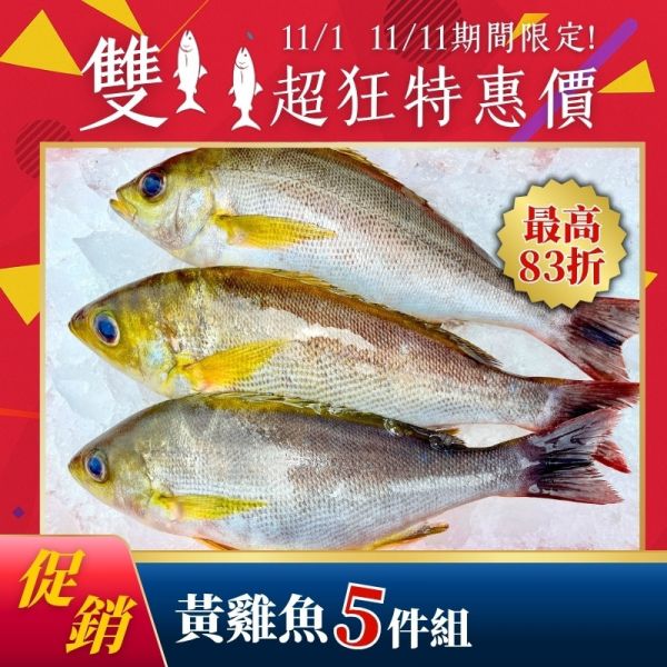雙11限定-黃雞魚200g*5包 (效期2026.10.10) 黃雞魚料理,黃雞魚好吃嗎,黃雞魚營養,黃雞魚口感,黃雞仔