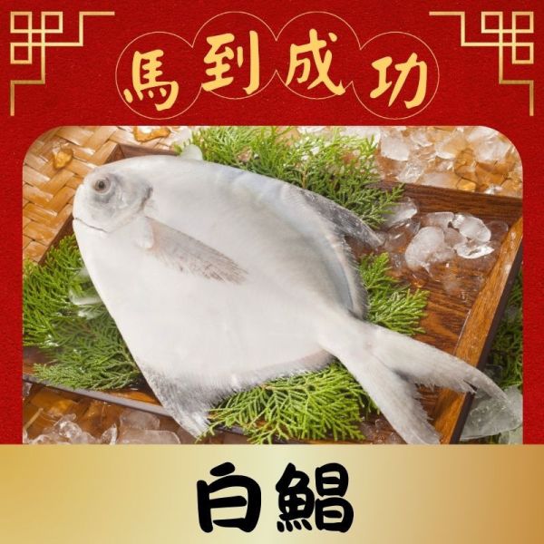 白鯧450g 印尼白鯧,白鯧魚料理,白鯧米粉,白鯧為甚麼這麼貴,白鯧年菜