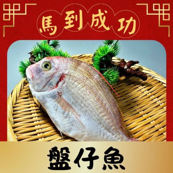 新品上市-盤仔魚150g 盤仔魚,盤仔魚料理,香煎盤仔魚,盤仔魚刺多嗎,盤仔魚營養