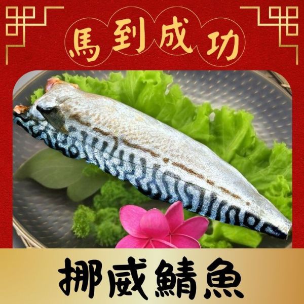 薄鹽挪威鯖魚片150g 鯖魚,挪威鯖魚