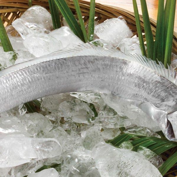 白帶魚分切250g+白帶魚清肉卷200g 白帶魚,白帶魚清肉卷,氣炸鍋白帶魚,白帶魚米粉湯,白帶魚料理