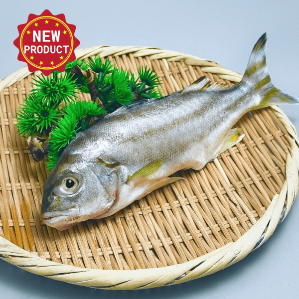 新品上市-花身(200g) 花身仔,花身鯻,花身雞魚,花身魚料理,花身魚好吃嗎