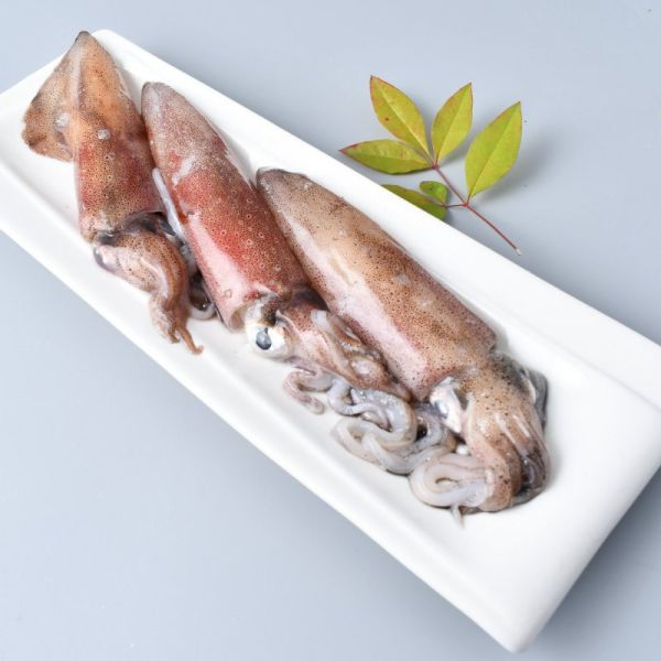 少刺方便組 人氣鮮魚,小卷,大比目魚,鮭魚,熱銷鮮魚