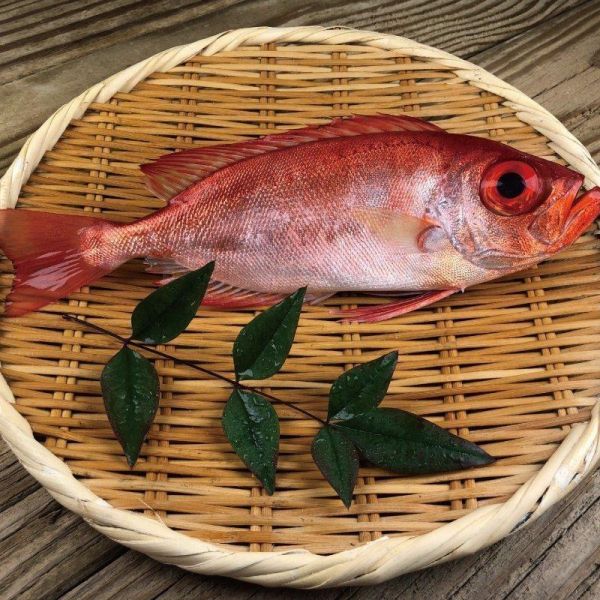 紅目鰱200g+烏魚一夜干200g 野生烏魚,烏魚一夜干,烏魚一夜干怎麼煮,烏魚一夜干料理,烏魚一夜干做法,紅目鰱清蒸,紅目鰱料理,紅目鰱剝皮,紅目鰱乾煎,紅目鰱魚湯