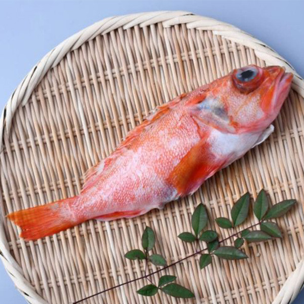 【本月特惠】石狗公(350g) 2件組 石狗公,石狗公料理,石狗公處理,石狗公好吃嗎,石狗公魚湯,紅燒石狗公