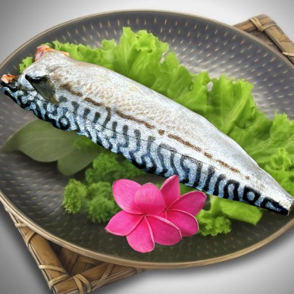 薄鹽挪威鯖魚片150g(單片、買五送一組、買十送三組) 鯖魚,挪威鯖魚