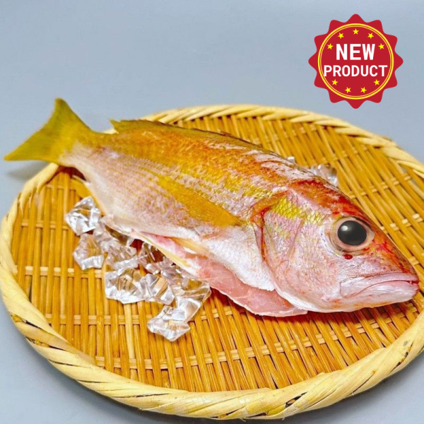 新品上市-赤筆200g 赤筆,赤筆魚料理,赤筆仔好吃嗎,赤筆魚口感,赤筆魚產季
