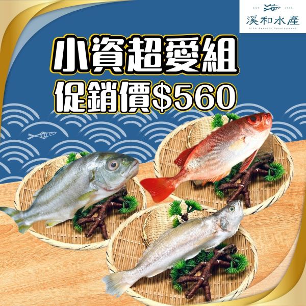 小資超愛組 小資族,省錢組合,魚湯,煎魚,三牙,紅目鰱,花身