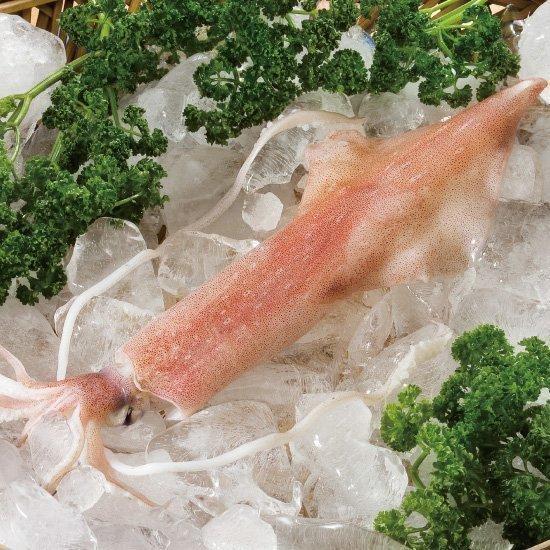 【職人嚴選】主婦激推組-黃雞魚250g+活凍透抽150g(2026.08.15) 透抽料理,透抽是小卷,透抽怎麼吃,透抽熱量,透抽 花枝,黃雞魚料理,黃雞魚好吃嗎,黃雞魚營養,黃雞魚口感,黃雞仔