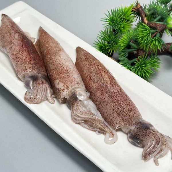 【職人嚴選】主廚推薦組-赤鯮200g+冷凍生小卷200g 赤鯮,赤鯮料理,赤鯮魚湯,赤鯮季節,赤鯮刺多嗎,赤鯮營養,小卷米粉,小卷料理,小卷料理,小卷怎麼吃,小卷透抽