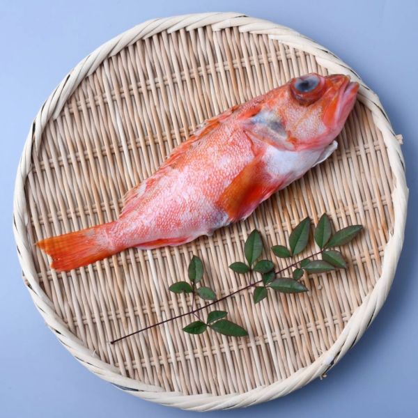 懷舊清蒸組 黃雞魚,赤鯮,石狗公,蒸魚料理,港式料理