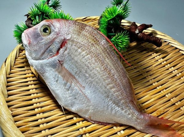 新品上市-盤仔魚150g 盤仔魚,盤仔魚料理,香煎盤仔魚,盤仔魚刺多嗎,盤仔魚營養