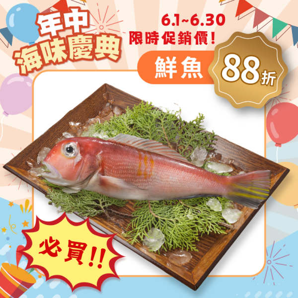 馬頭魚300g 馬頭魚料理,馬頭魚怎麼吃,新鮮馬頭魚,野生馬頭, 馬頭魚營養,蒜瓣肉