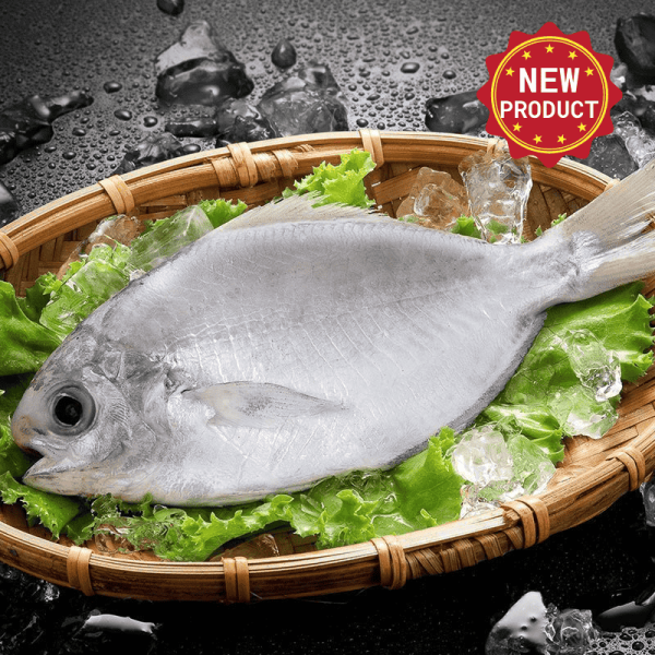 新品上市-刺鯧(肉鯽) 230g 肉魚,肉鯽,肉魚料理,肉魚營養,刺鯧