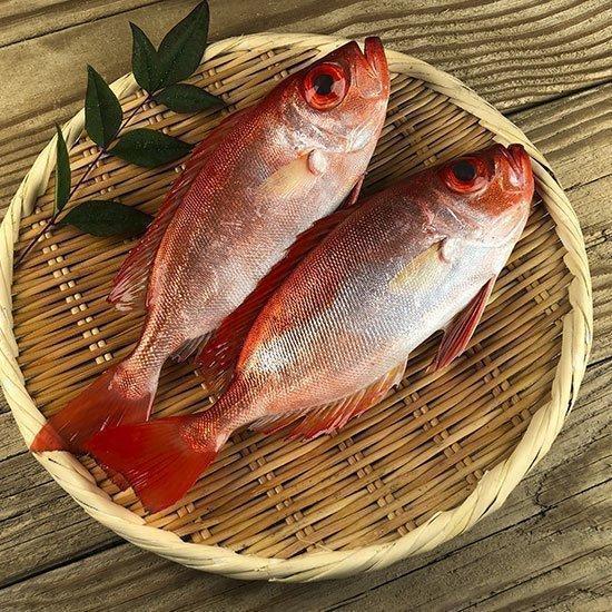 【寵愛自己】春活滋養組-紅目鰱200g(一包兩隻)+赤鯮200g 赤鯮料理,赤鯮魚怎麼吃,野生赤鯮, 赤鯮營養,香煎赤鯮,紅目鰱清蒸,紅目鰱料理,紅目鰱剝皮,紅目鰱乾煎,紅目鰱魚湯