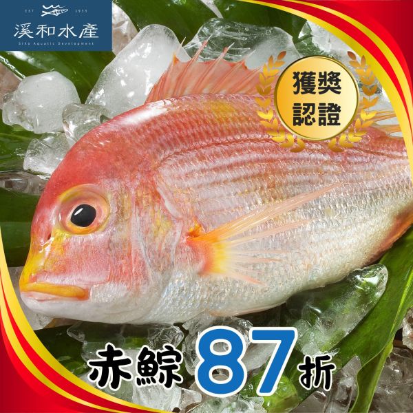 赤鯮(200g、500g) 赤鯮,赤鯮料理,赤鯮魚湯,赤鯮季節,赤鯮刺多嗎,赤鯮營養
