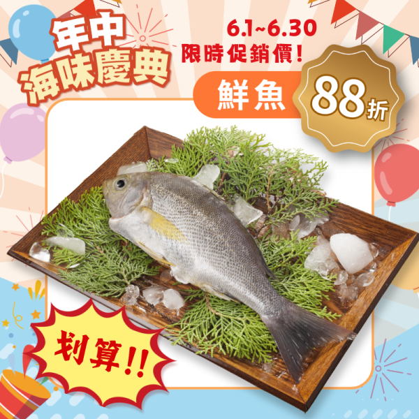 黃雞魚350g 黃雞魚料理,黃雞魚好吃嗎,黃雞魚營養,黃雞魚口感,黃雞仔