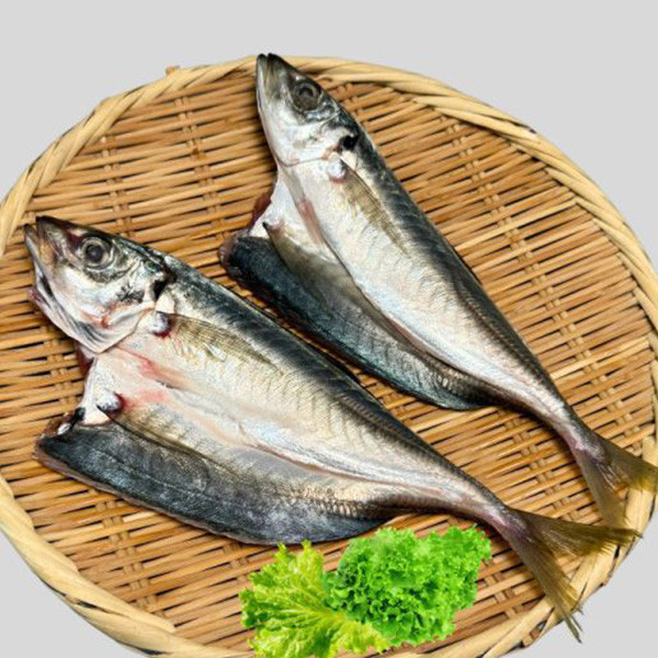 【本月特惠】竹筴魚(300g) 2件組(效期2026.01.25) 竹筴魚,居酒屋料理,烤竹筴魚,竹筴魚料理,竹筴魚營養
