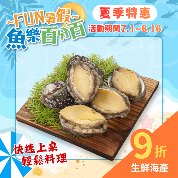 冷凍帶殼鮑魚180g（6粒裝） 鮑魚干貝燉雞,鮑魚干貝粽,鮑魚料理,鮑魚怎麼吃,鮑魚營養