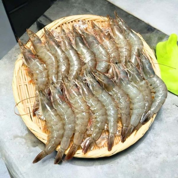 冷凍生白蝦2件組 進口白蝦,白蝦料理,白蝦怎麼煮好吃,白蝦草蝦,厄瓜多白蝦