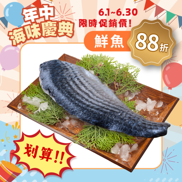 野生烏魚一夜干200g 野生烏魚,烏魚一夜干,烏魚一夜干怎麼煮,烏魚一夜干料理,烏魚一夜干做法