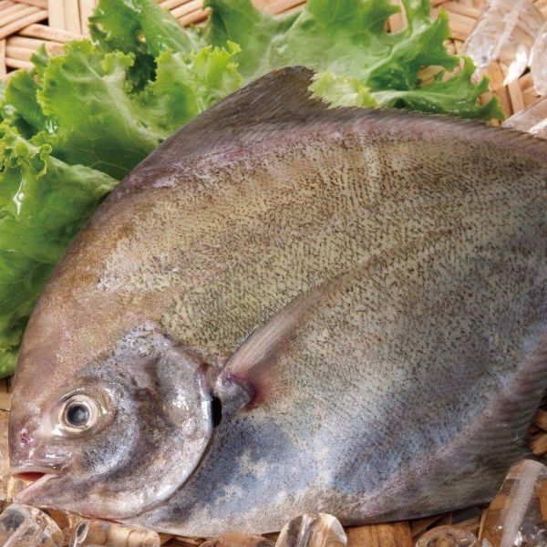 黑鯧350g 黑鯧、黑鯧魚、烏鯧、黑鯧料理、黑鯧魚料理、香煎黑鯧、清蒸黑鯧、黑鯧魚湯、冷凍黑鯧、冷凍魚、台灣海鮮