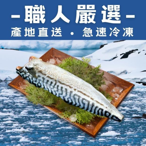 熱銷團購 薄鹽挪威鯖魚片150g(買五送一組、買十送三組) 鯖魚,挪威鯖魚,鯖魚油脂