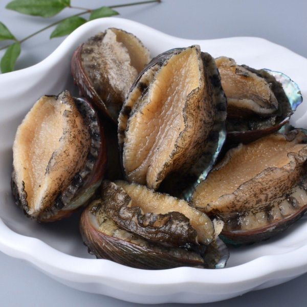 【寵愛自己】春生元氣組-帶殼鮑魚6粒+活凍透抽150g 透抽料理,透抽是小卷,透抽怎麼吃,透抽熱量,透抽 花枝,鮑魚干貝燉雞,鮑魚干貝粽,鮑魚料理,鮑魚怎麼吃,鮑魚營養