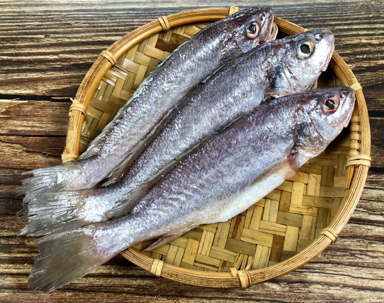 【官網限量】野生白口魚(200g) 野生白口魚,白口魚