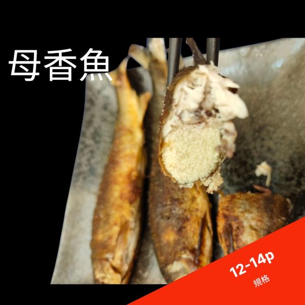 爆卵母香魚12-14P 