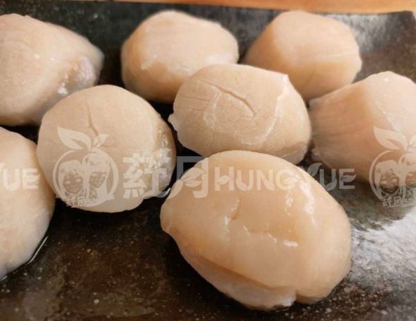 抗漲抗漲!!!熱銷的日本北海道頂級4S干貝來啦~品質優秀第一 
