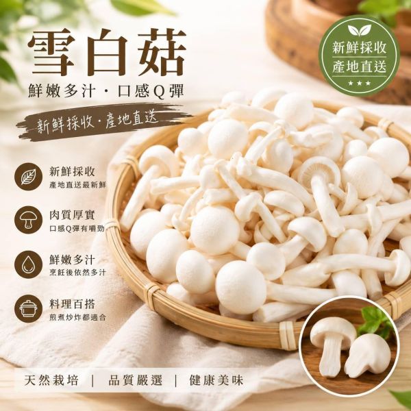 【自由配】鮮採綜合菇類任選 12包送3包 一共可選擇15包 