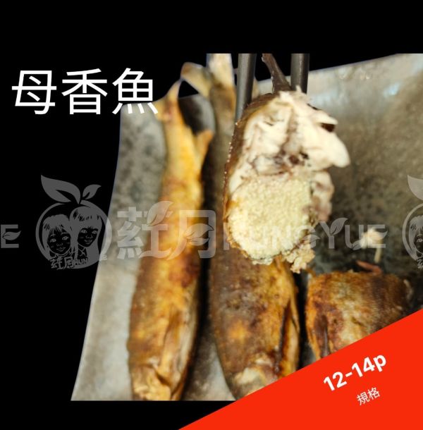 爆卵母香魚12-14P 