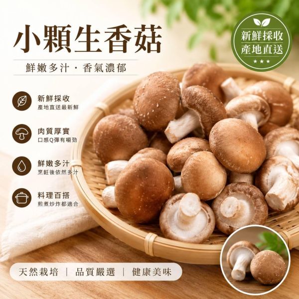 【自由配】鮮採綜合菇類任選 12包送3包 一共可選擇15包 