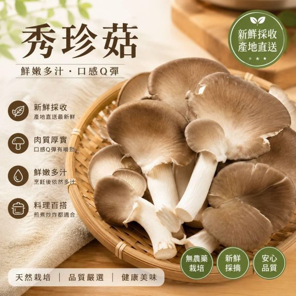【自由配】鮮採綜合菇類任選 12包送3包 一共可選擇15包 