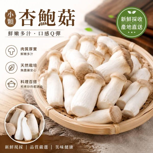 【自由配】鮮採綜合菇類任選 12包送3包 一共可選擇15包 