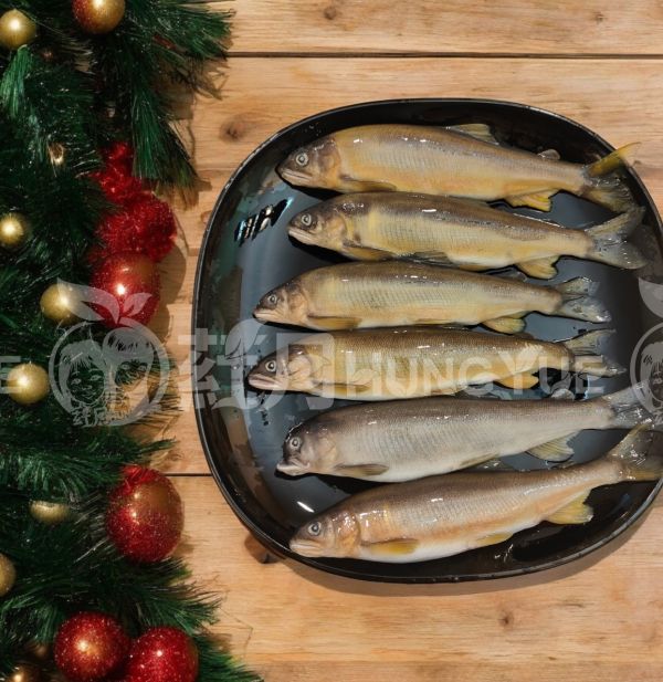 爆卵母香魚12-14P 