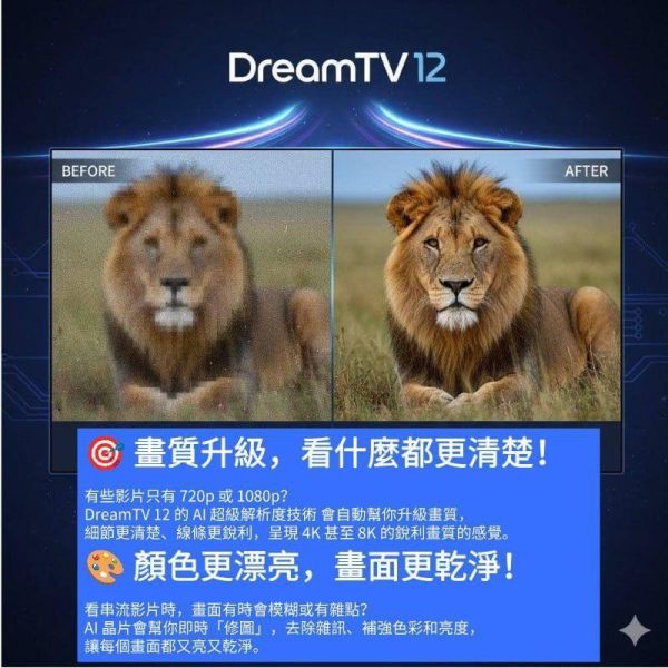 夢想DREAM 12智慧電視盒 
