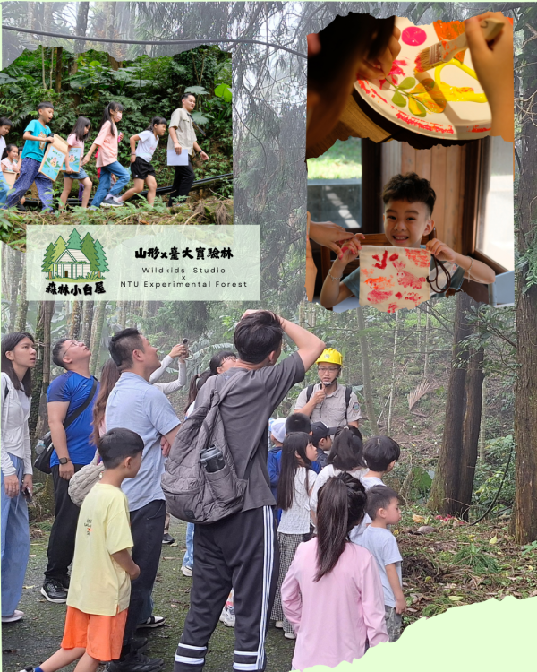 森林小小建築師 x 森林小白屋 秘境系列活動 九月、森林實境探索、親子活動、臺大實驗林、山形