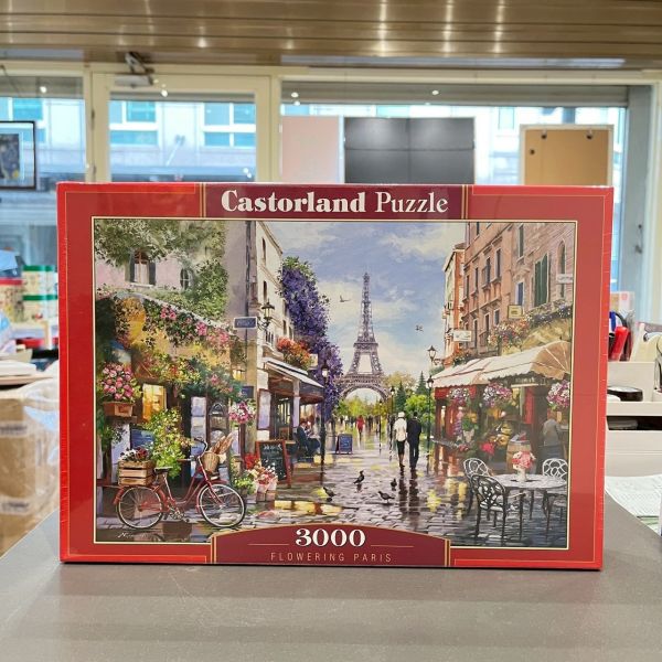 【編號2】castorland 巴黎的晨間花市 3000片 