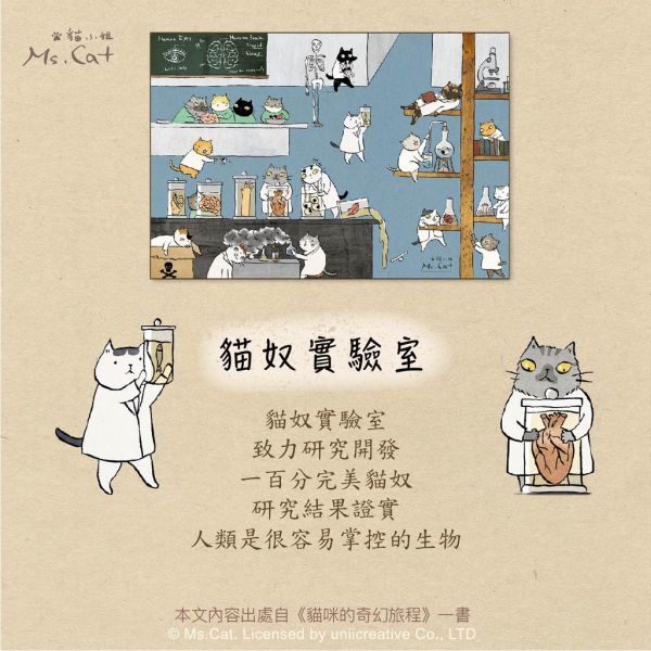 貓小姐 Ms.Cat 藍色啤酒海 300片 