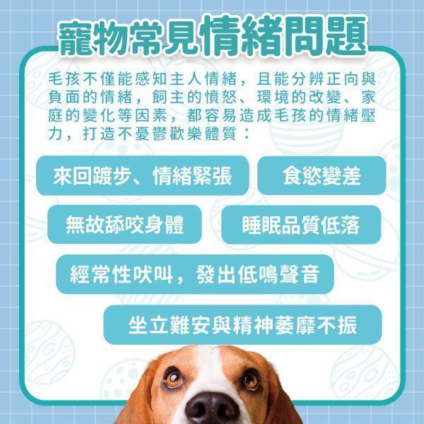 【贈品】情緒紓緩穩定保健粉體驗組 (5包入) 寵物保健,寵物情緒紓緩,試吃,體驗,開心,愉悅