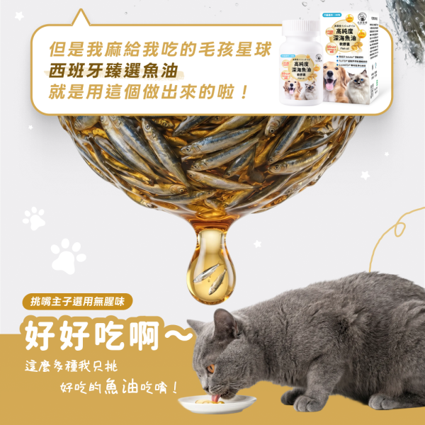 《彗星》高純度深海魚油膠囊30顆/盒 ＆60顆/盒 90%高純度Omega-3 DHA EPA 寵物魚油 貓魚油 狗魚油【毛孩星球】 寵物魚油,狗狗魚油,寵物保健,魚油推薦,狗貓魚油,寵物保健,毛孩,犬貓防護,寵物健康,毛孩毛髮