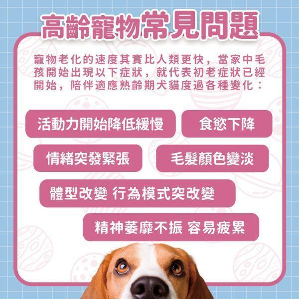 【贈品】銀寶營養保健粉 30入/盒 熟齡犬貓,寵物過重,老齡犬,成年貓狗,犬體重,貓體重,寵物過胖體驗,試吃,毛孩保健,寵物健康